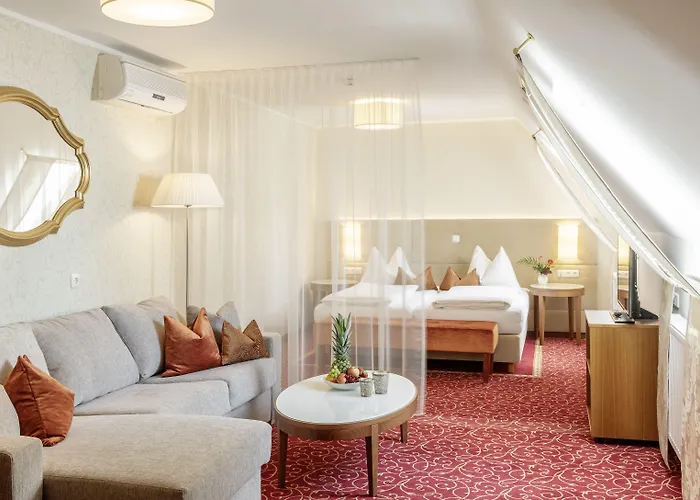 Otel Mader Steyr
